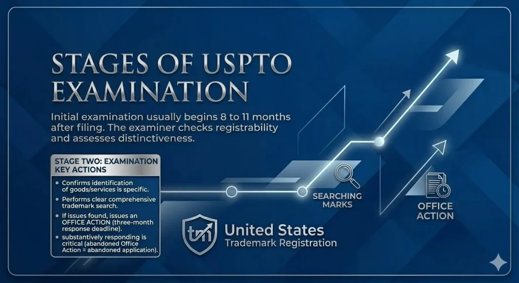 united states trademark registrations and law: Stage Two USPTO Examination
