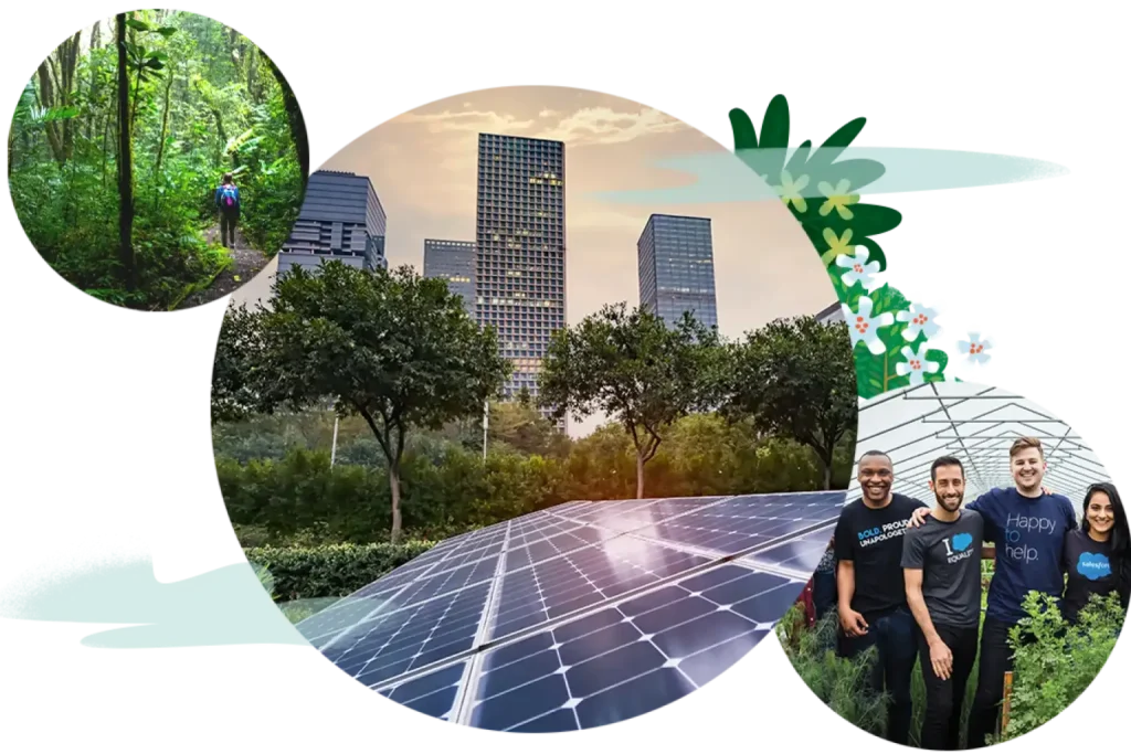 sustainability-pic